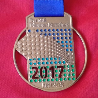 14. Dämmer Marathon Mannheim 2017