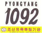 Startnummer 29. Pyongyang Marathon 2018